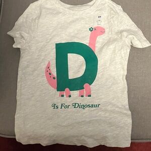 Kids Dinosaur Graphic Tee - Gray and Green